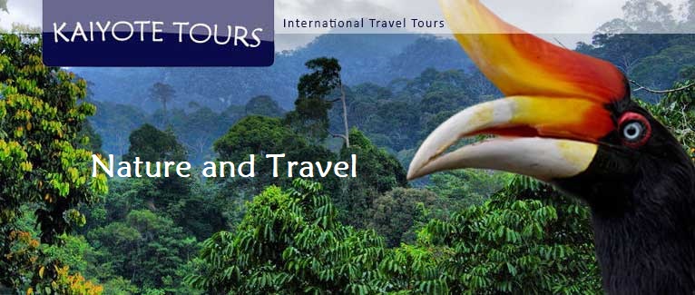 Asia Birding Tours Culture Trips Adventure Vacations
