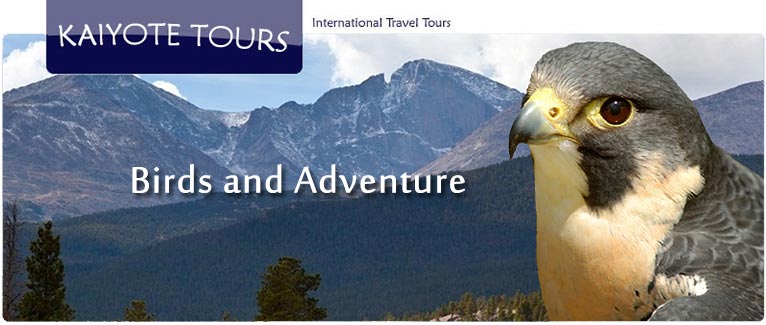 International Birding, Adventure and Travel Tours Reviews