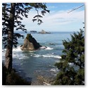 Hiking Olympic National Park with Kaiyote Tours