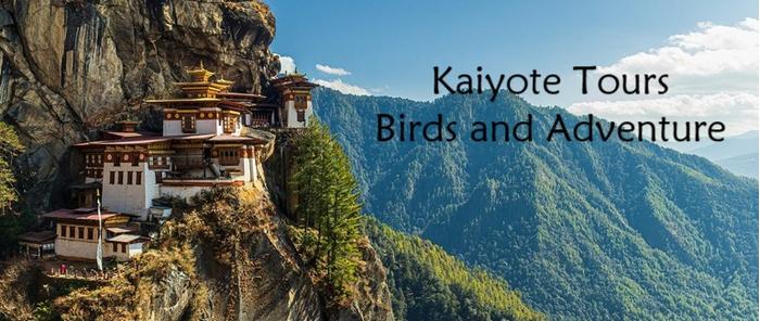 Bhutan Birding Tours