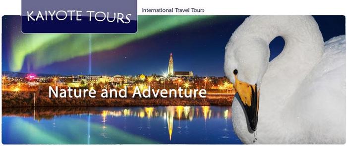 Stockholm Opera Christmas Tours Stockholm Opera Christmas Tours