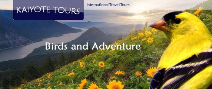 Travel - Wildlife Tours and Nature Trips